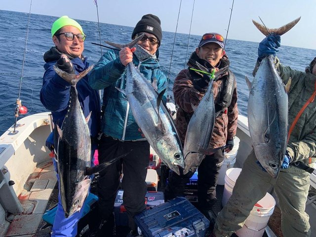 トンボ(ビンナガ)