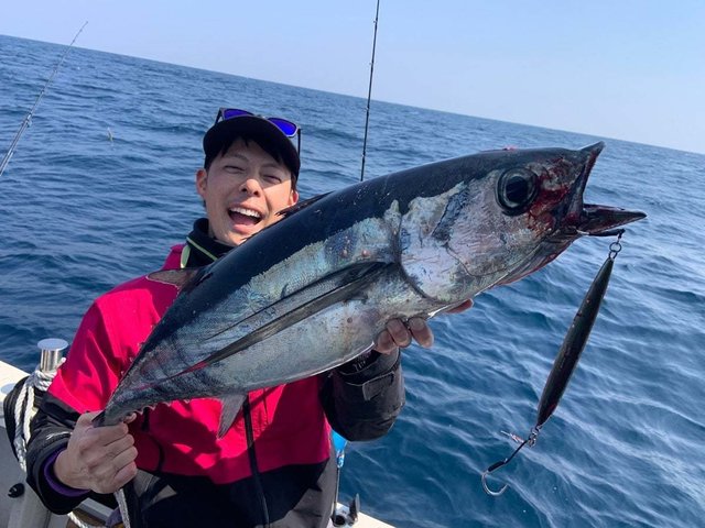 トンボ(ビンナガ)