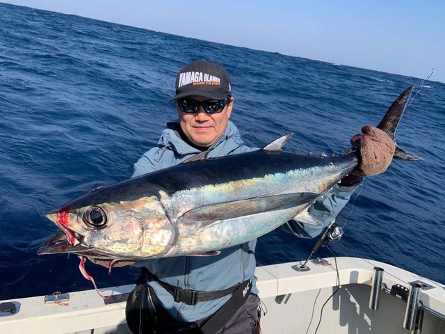 トンボ(ビンナガ)