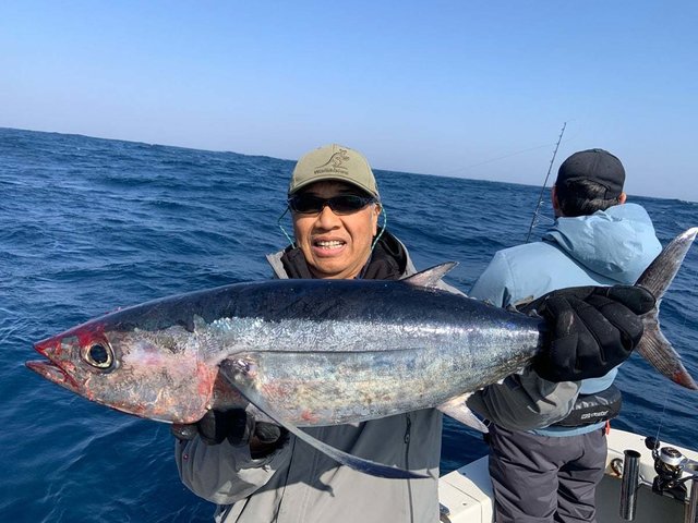 トンボ(ビンナガ)