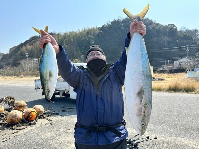 ブリ・ワラサ(ブリ)