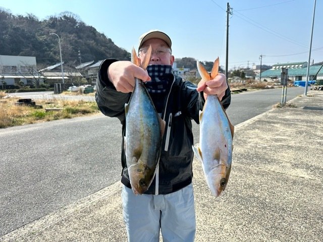 ブリ・ワラサ(ブリ)