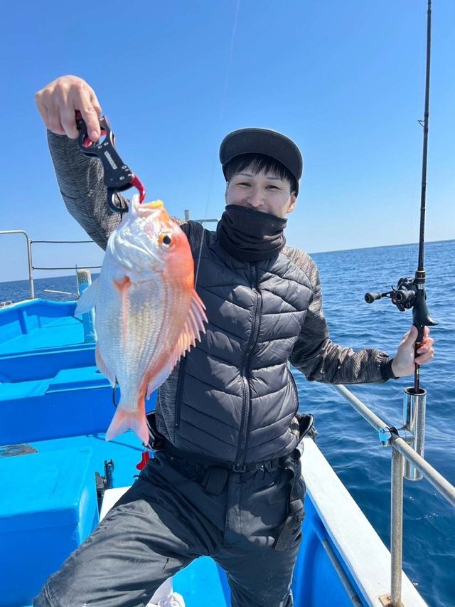 レンコダイ(キダイ)