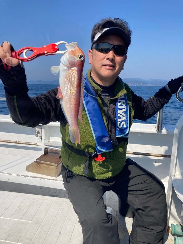 アマダイ(アカアマダイ)