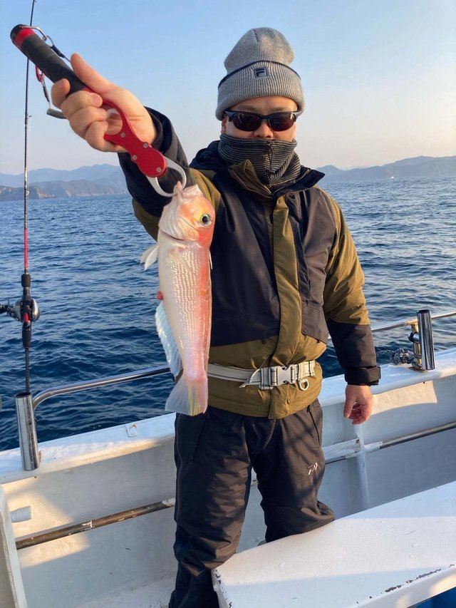 アマダイ(アカアマダイ)