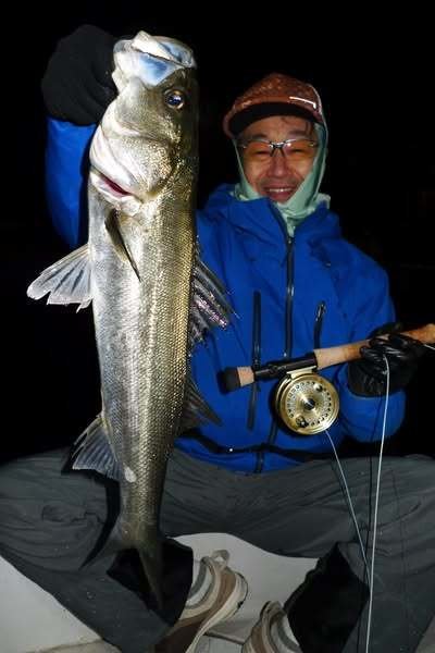 シーバス(スズキ)