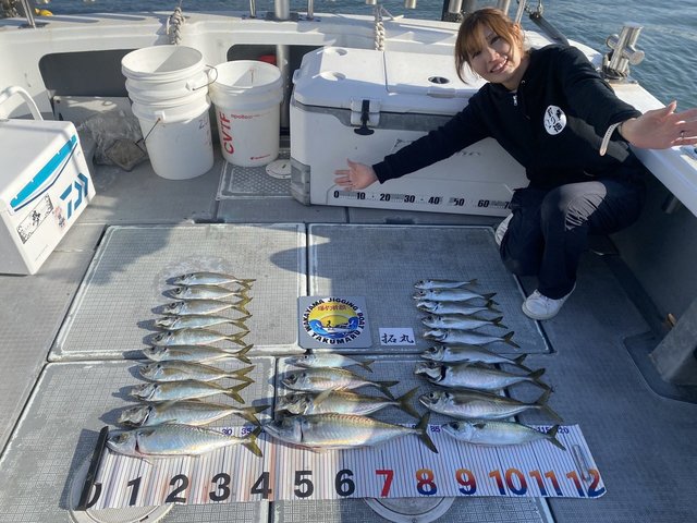 アジ(マアジ)・サバ(ゴマサバ)