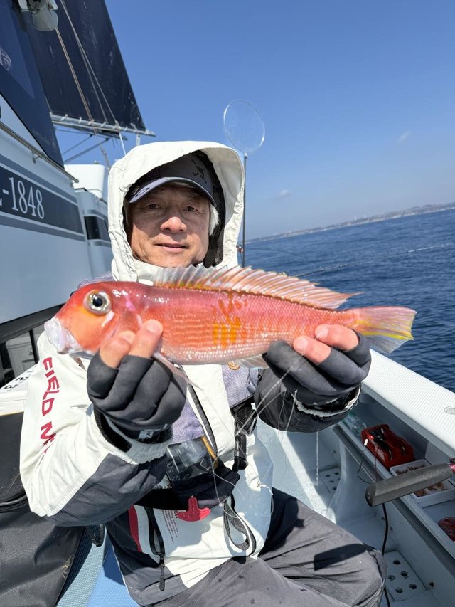 アマダイ(アカアマダイ)