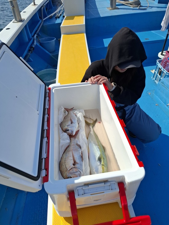 マダイ・イナダ(ブリ)