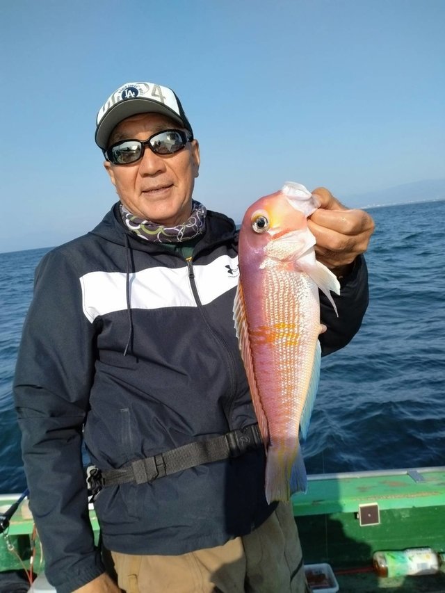 アマダイ(アカアマダイ)