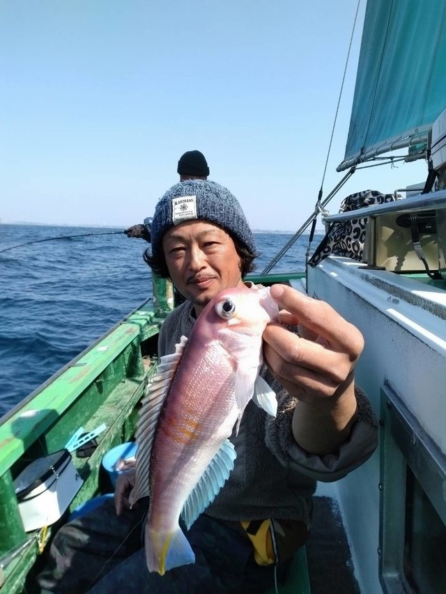 アマダイ(アカアマダイ)