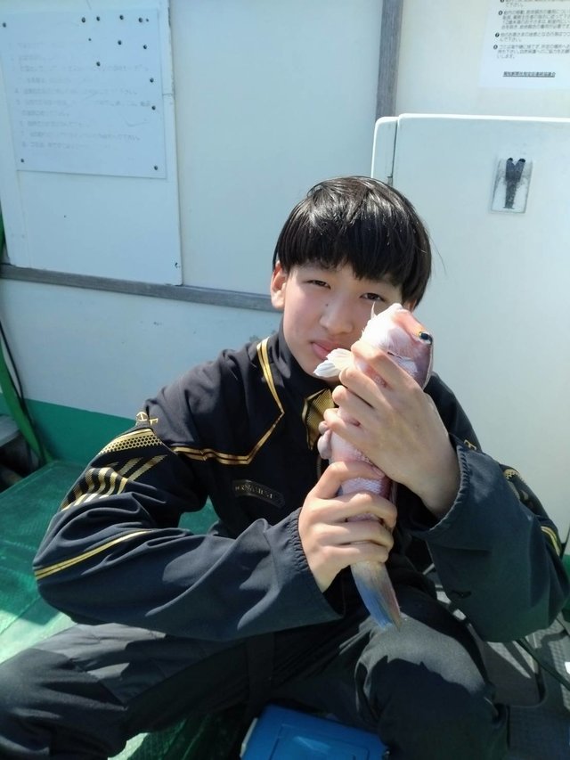 アマダイ(アカアマダイ)