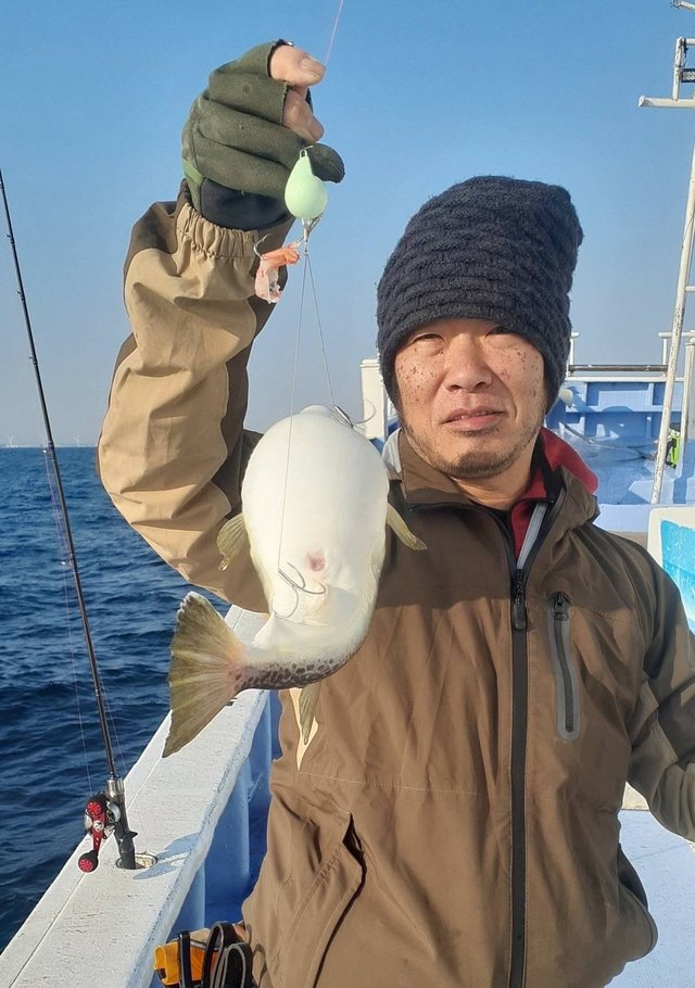 ショウサイフグ