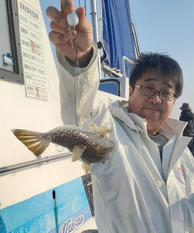 ショウサイフグ