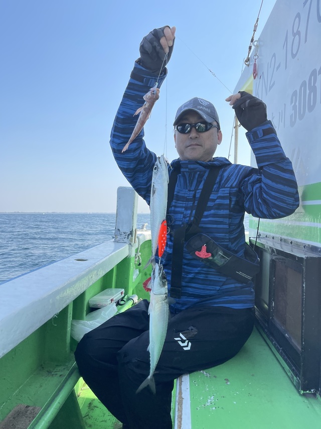 サバ(ゴマサバ)