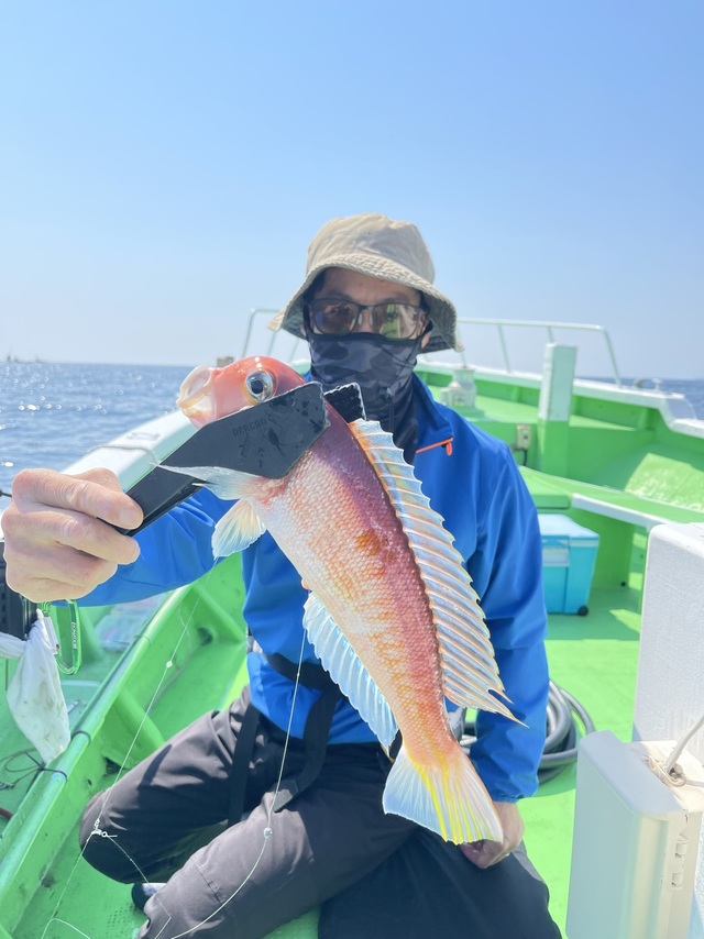 アマダイ(アカアマダイ)