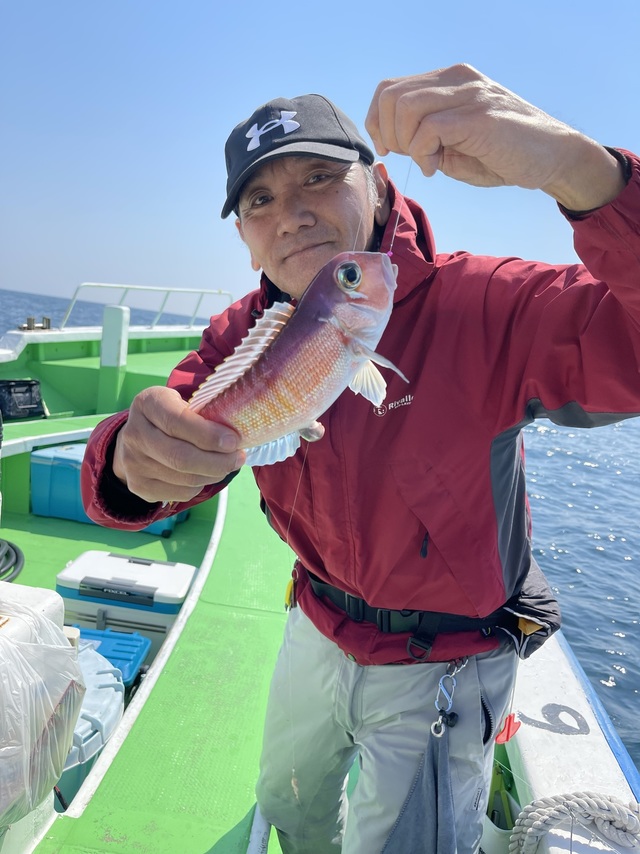 アマダイ(アカアマダイ)