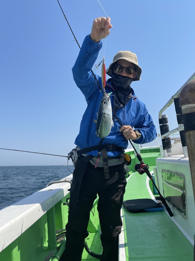 サバ(ゴマサバ)