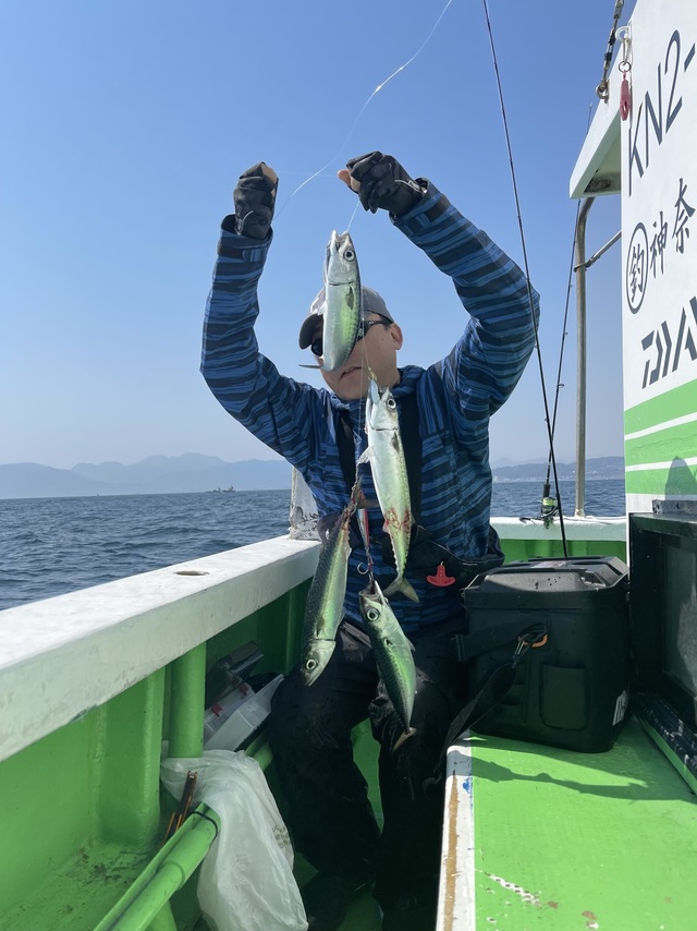 サバ(ゴマサバ)