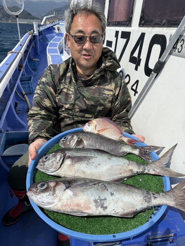 マダイ・メダイ