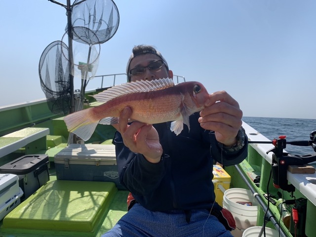 アマダイ(アカアマダイ)