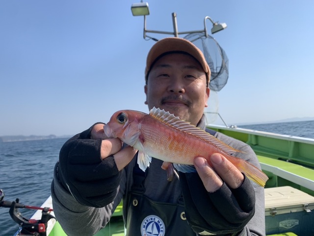 アマダイ(アカアマダイ)