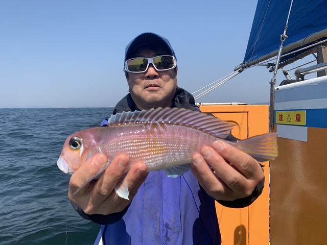 アマダイ(アカアマダイ)