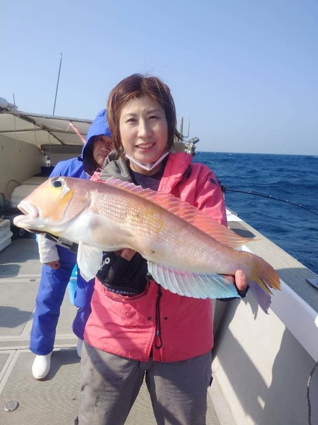 アマダイ(アカアマダイ)