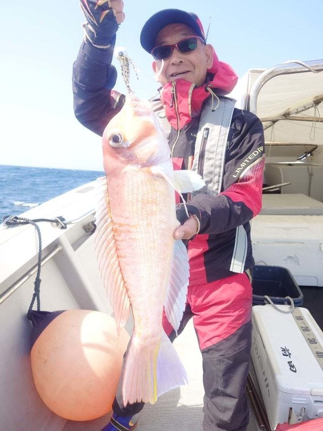 アマダイ(アカアマダイ)