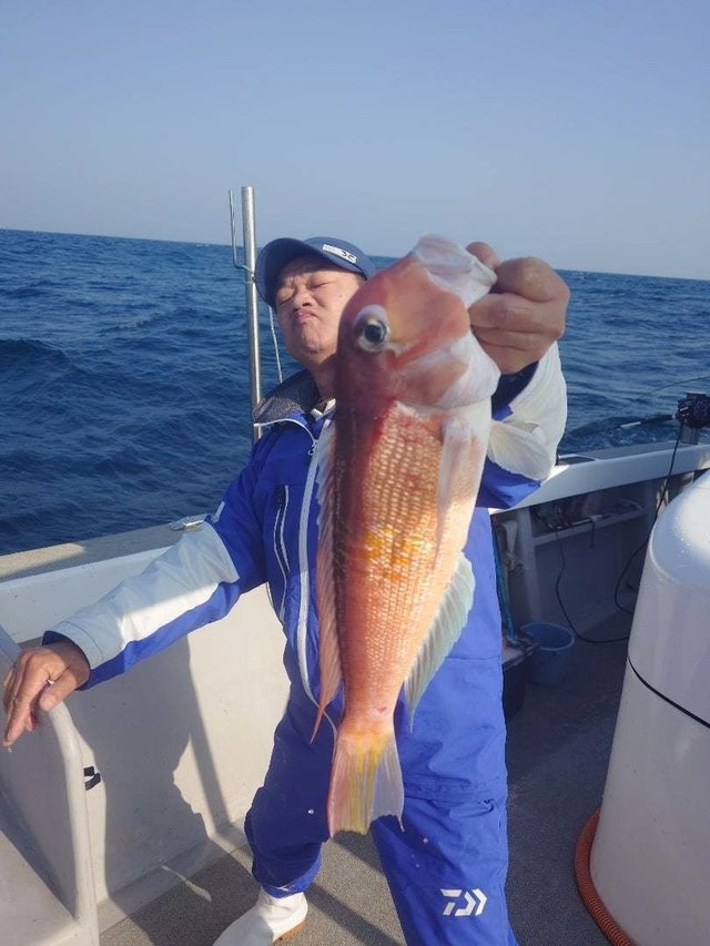 アマダイ(アカアマダイ)