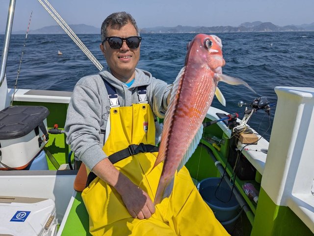 アマダイ(アカアマダイ)