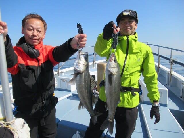 シーバス(スズキ)