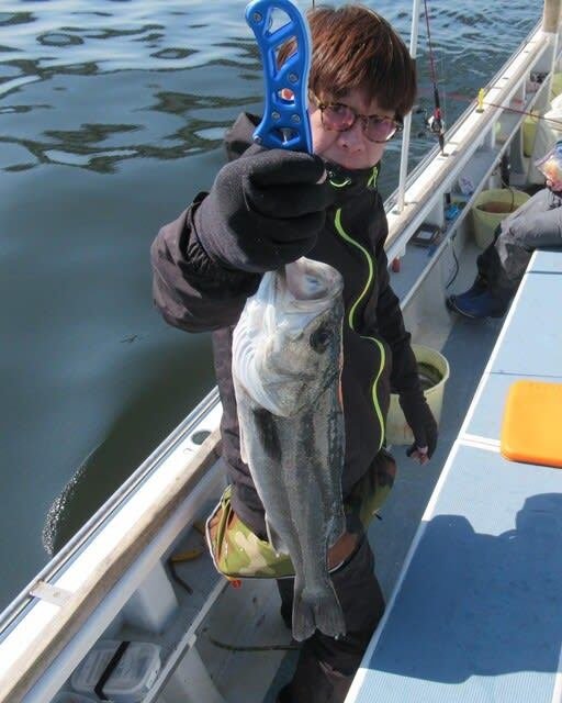 シーバス(スズキ)