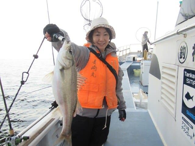 シーバス(スズキ)