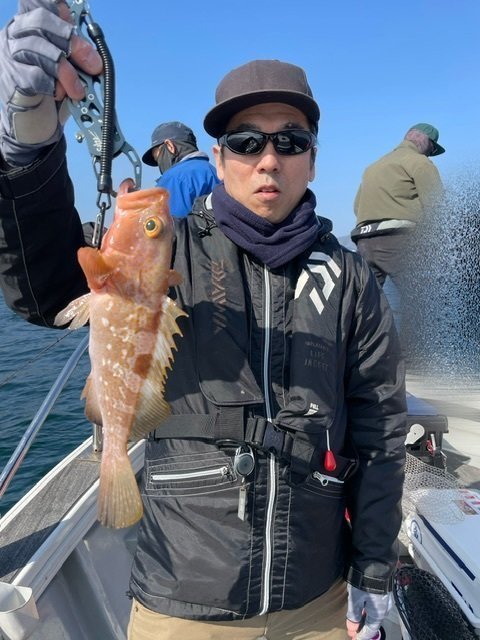 アコウ(キジハタ)