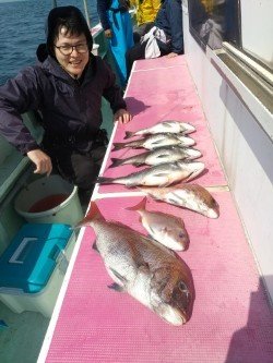 マダイ・クロダイ