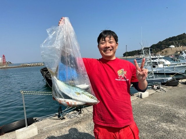 サゴシ(サワラ)