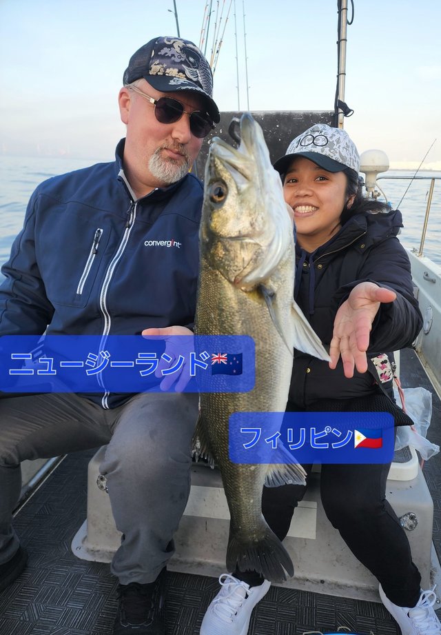 シーバス(スズキ)