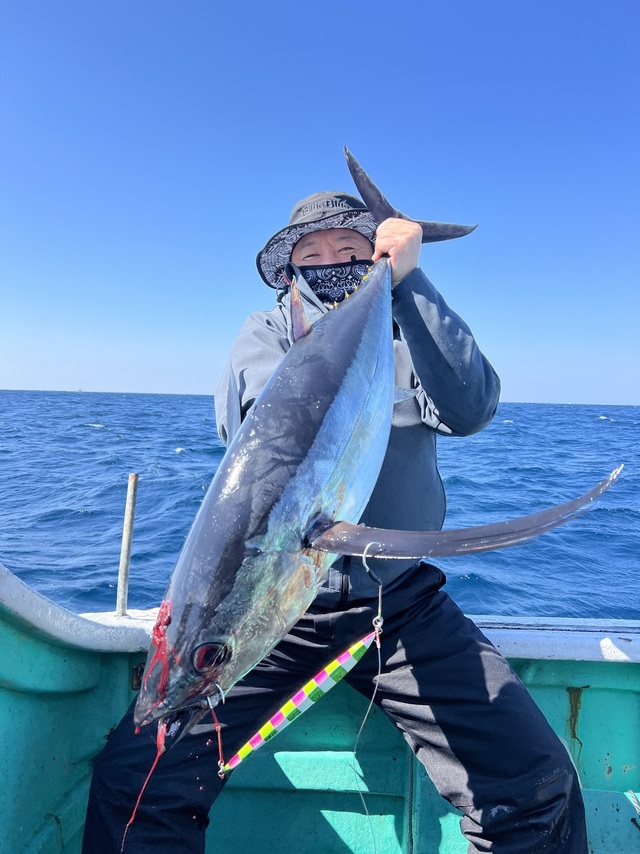 ビンチョウマグロ(ビンナガ)