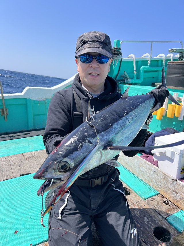 ビンチョウマグロ(ビンナガ)