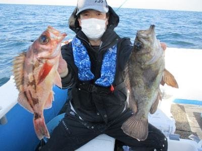 メバル・メバル(ウスメバル)