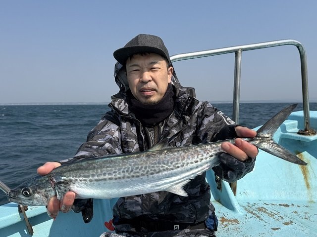 サゴシ(サワラ)