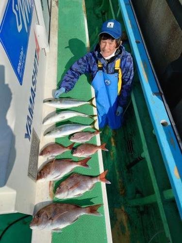 マダイ・イナダ(ブリ)