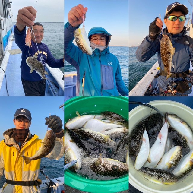 ショウサイフグ