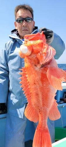 メヌケ(アコウダイ)