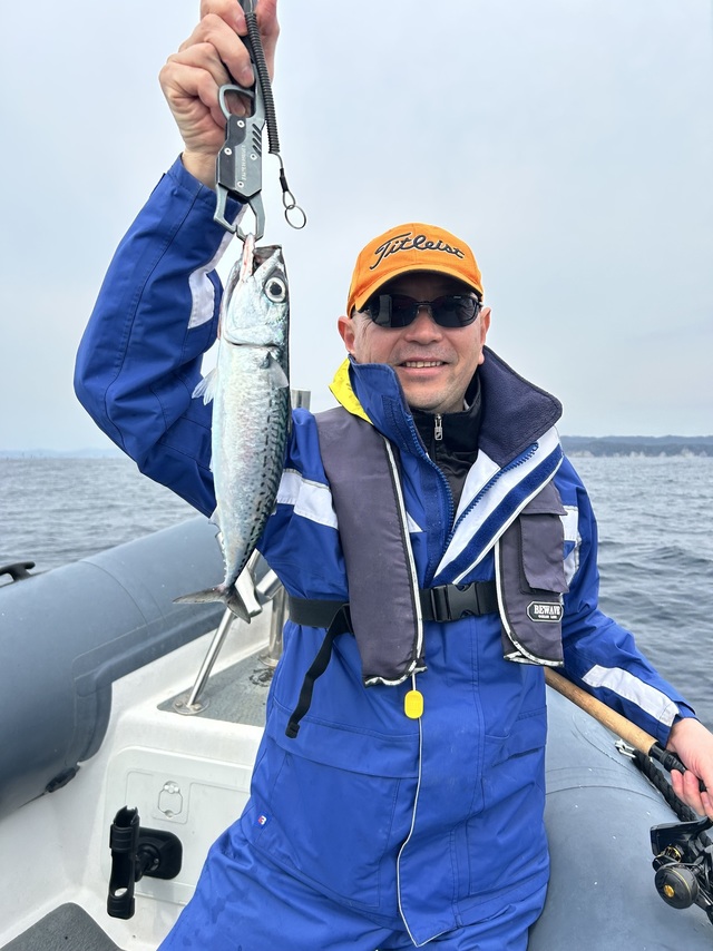 サバ(ゴマサバ)