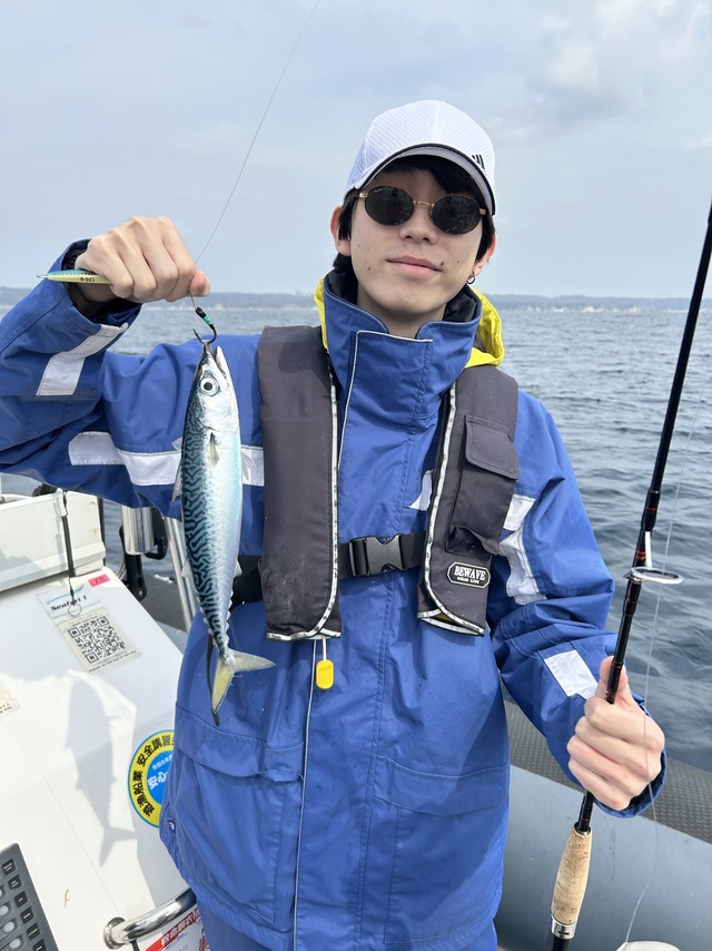 サバ(ゴマサバ)