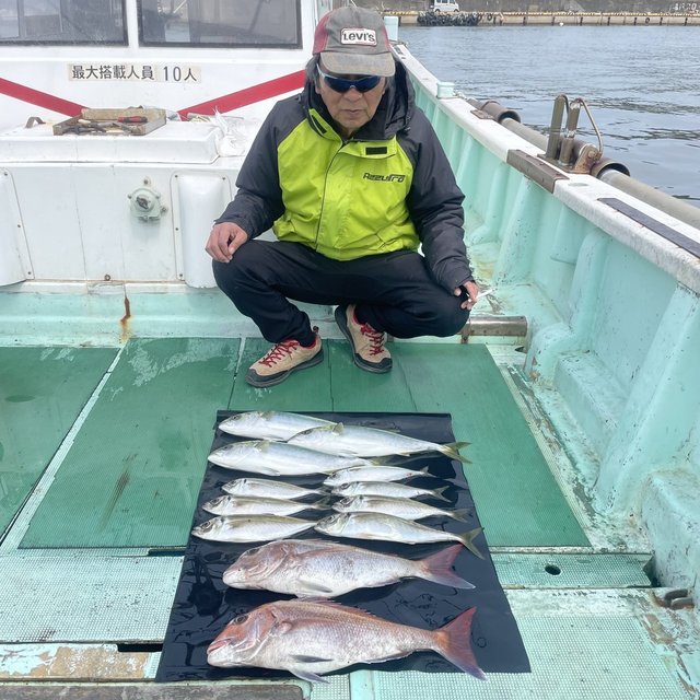 マダイ・マアジ・ハマチ(ブリ)