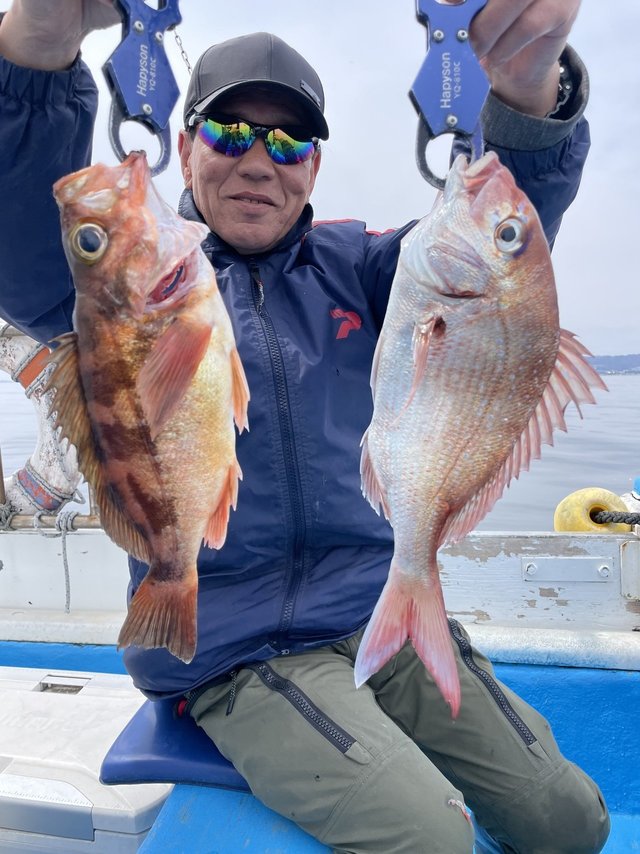 マダイ・メバル