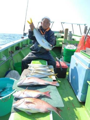 マダイ・ワラサ(ブリ)